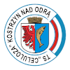科斯特仁logo